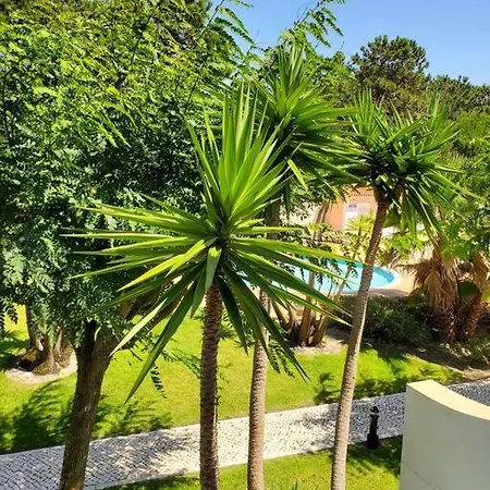 Cantinho Da Carminho Amoreira